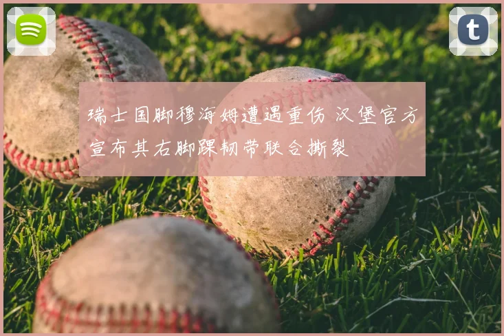 瑞士国脚穆海姆遭遇重伤 汉堡官方宣布其右脚踝韧带联合撕裂